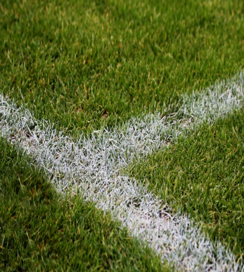 Case study Sportnetwork